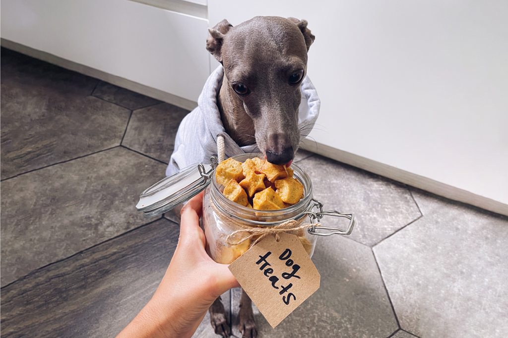 The Perfect Way to Show Your Dog Some Love and Care: Oat and Carrot Cookies